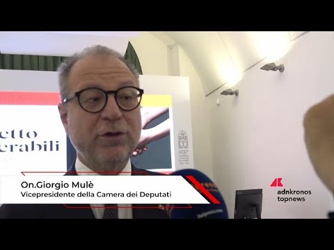 Vulnerabili a Palermo Mule Sono soggetti che vanno protetti Vulnerabili a Palermo Mule Sono soggetti che vanno protetti