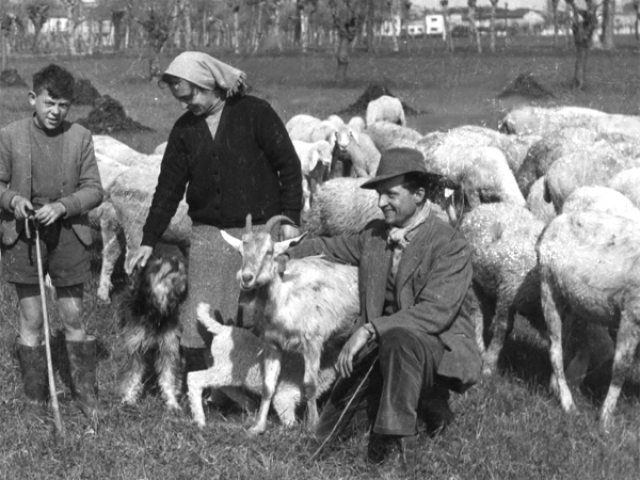 famiglia pastori