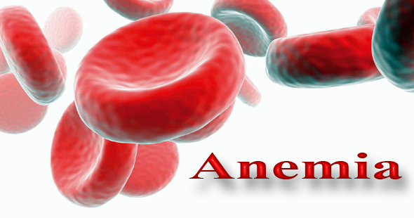 le anemie