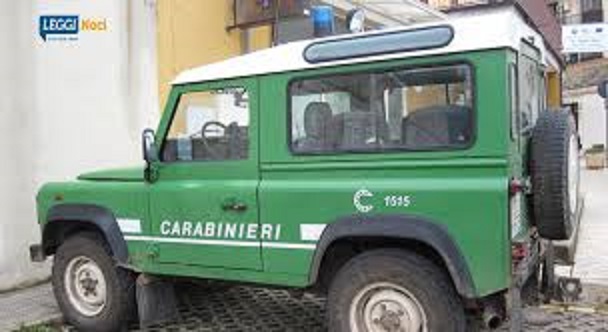 Carabinieir forestali jeep