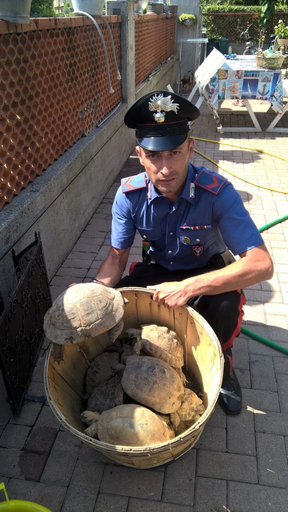 Carabinieri tartarughe