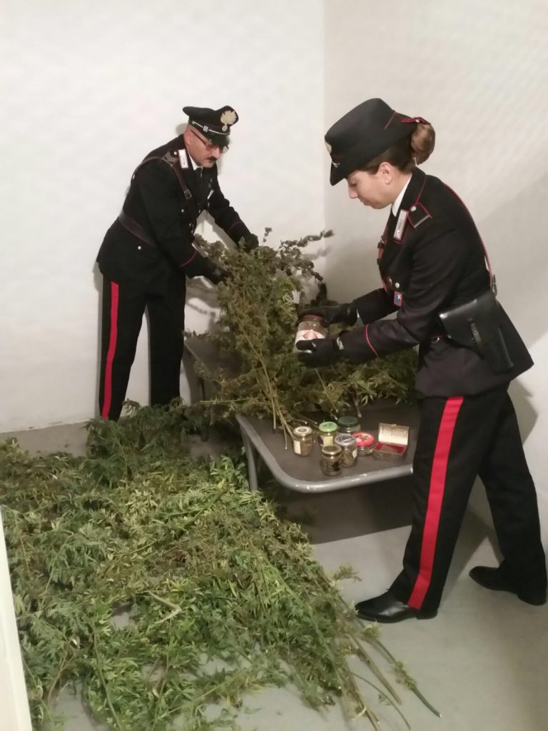 Carabinieri pianet marijuana