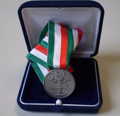 medaglia valor civile argento