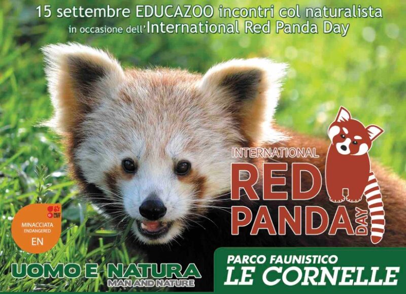 red panda day