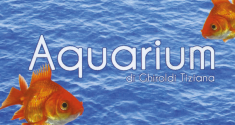 acquarium