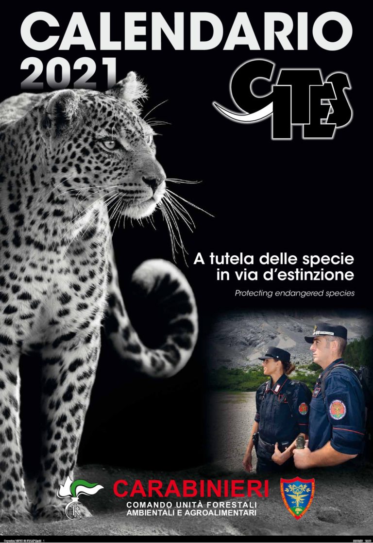 Copertina VISTO SI STAMPI pdf 2 Copertina VISTO SI STAMPI pdf 2