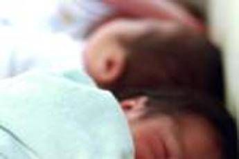 Neonati prematuri uccisi da batterio a Bolzano cose il Serratia marcescens