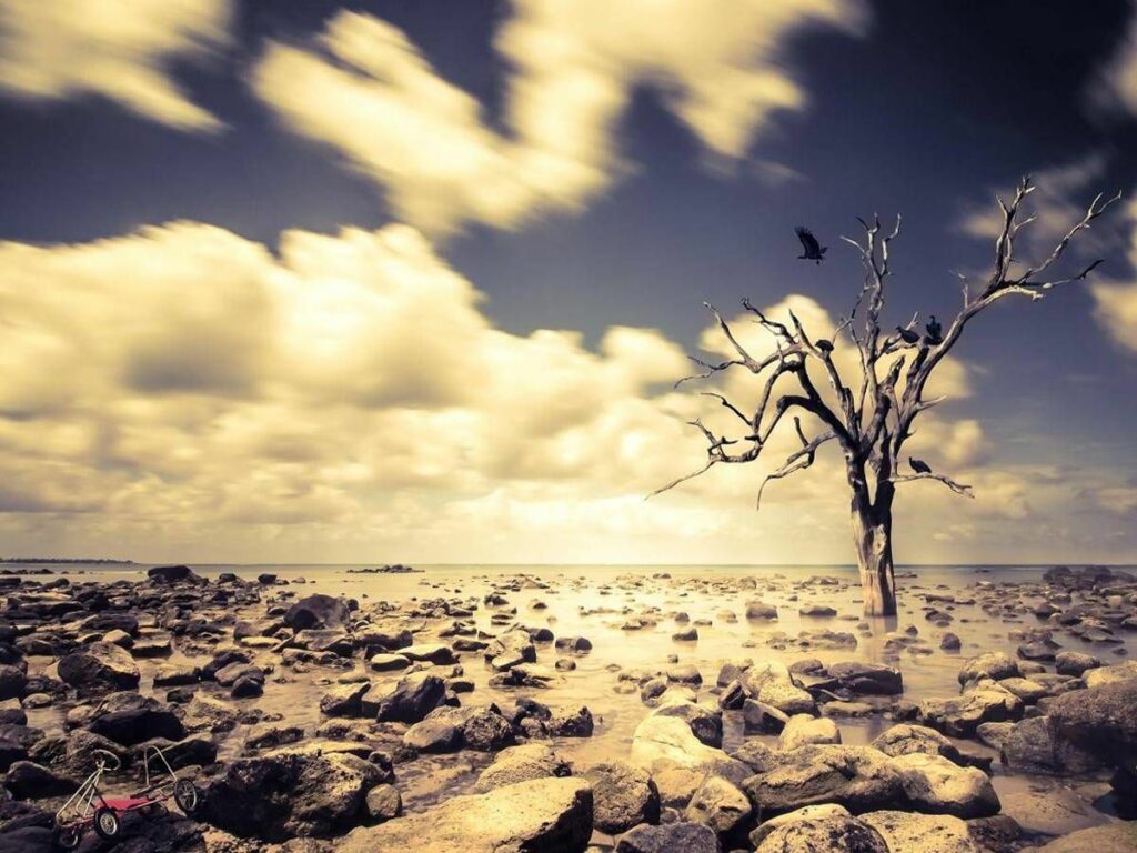 Clima soffre di ecoansia il 67 dei giovani nel mondo