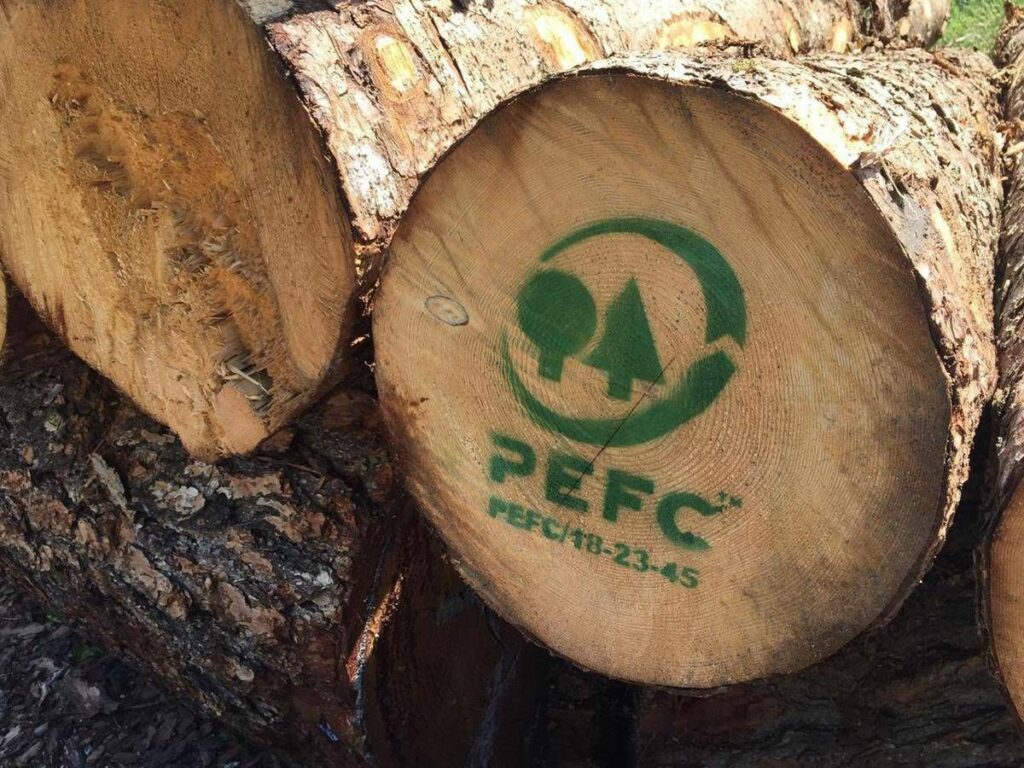 Pefc Italia 71mila tonnellate di CO2 assorbita da foreste certificate Pefc Italia 71mila tonnellate di CO2 assorbita da foreste certificate