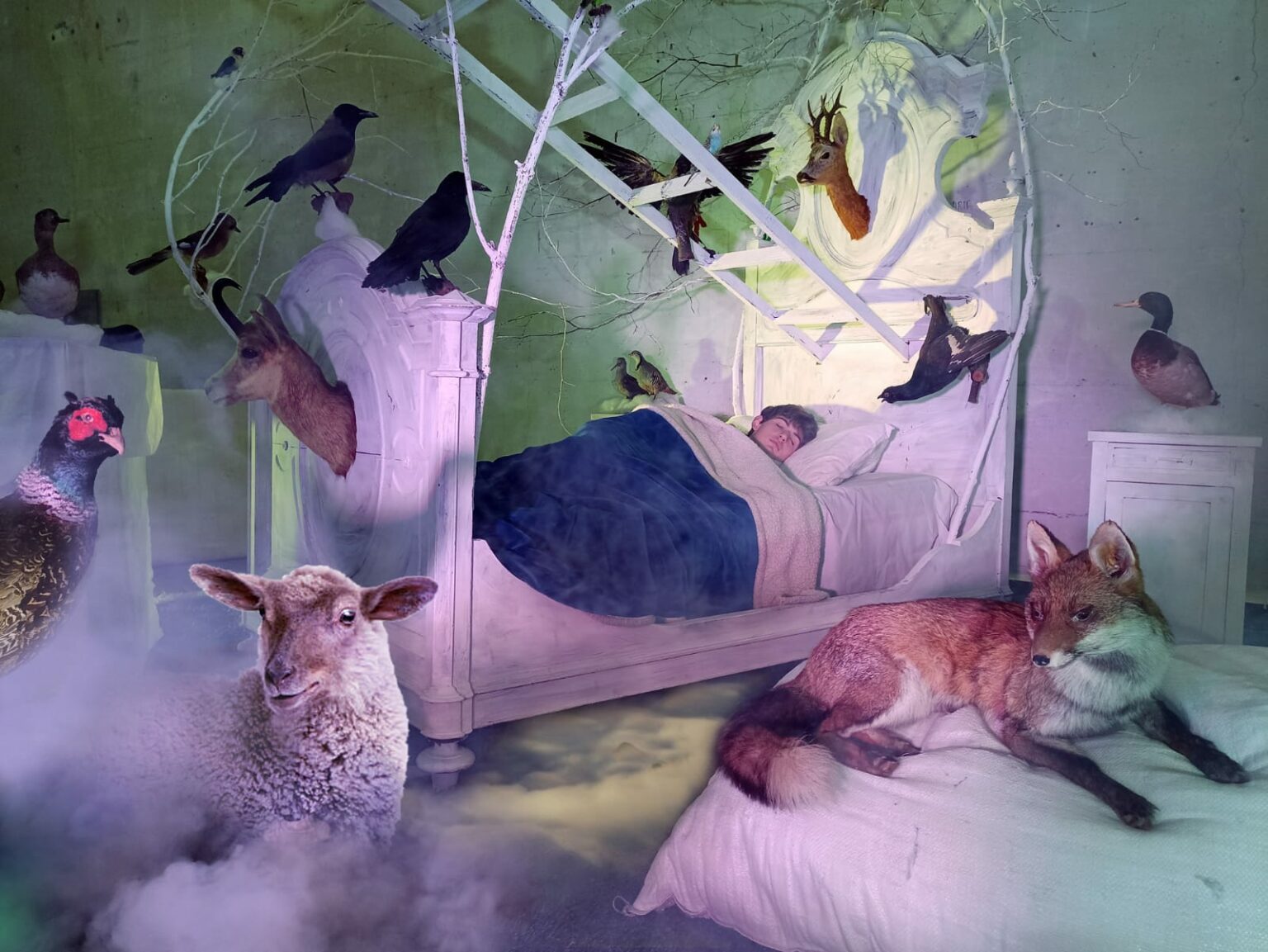 “IL SOGNO DREAM”, A FINO DEL MONTE PAROLINI CELEBRA “IL PICCOLO PRINCIPE” Montagne & Paesi