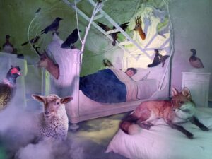 “IL SOGNO - DREAM”, A FINO DEL MONTE PAROLINI CELEBRA “IL PICCOLO PRINCIPE”