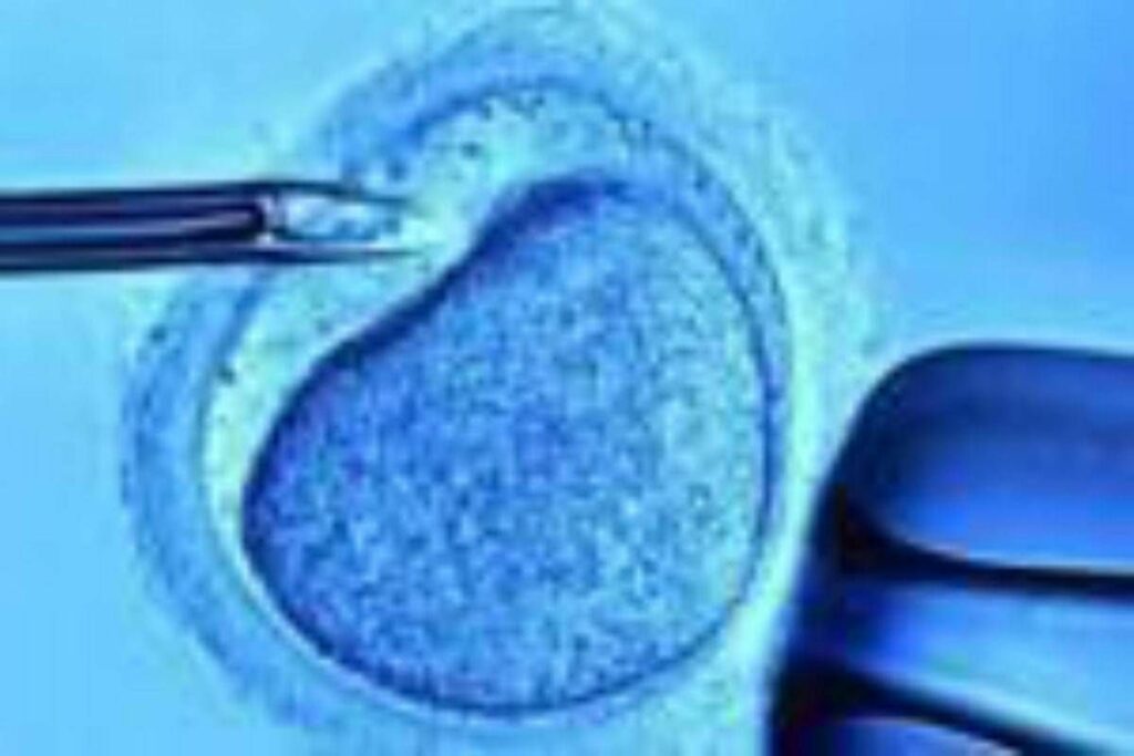Fecondazione mamme senza bombe ormonali con meno rischi aborto svolta per over 40 Fecondazione mamme senza bombe ormonali con meno rischi aborto svolta per over 40