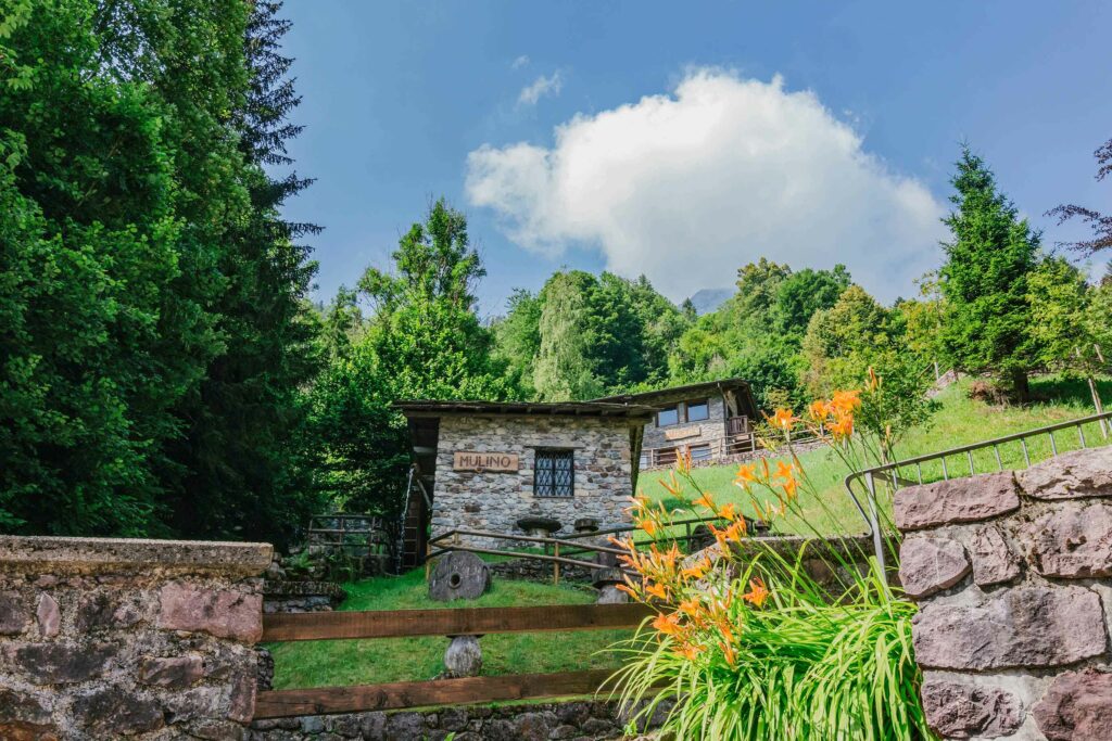 "Festival delle Terre dei Baschenis": un weekend di iniziative tra arte, storia, cultura e prodotti locali 11:31