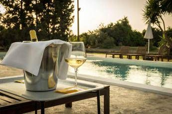Cantine con piscina o piscine tra le vigne il connubio perfetto per lestate Cantine con piscina o piscine tra le vigne il connubio perfetto per lestate