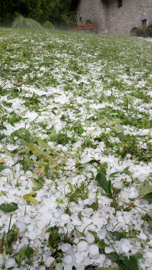 Il maltempo colpisce l’agricoltura bergamasca, danneggiati mais, pascoli e ulivi