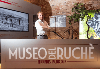 Un museo per il Ruche a Castagnole Monferrato Un museo per il Ruche a Castagnole Monferrato
