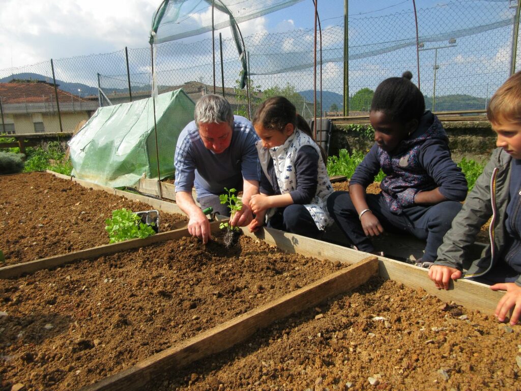 ORTO DIDATTICO, AL MERCATO AGRICOLO I PRODOTTI DELLA SCUOLA MATERNA DI GANDINO