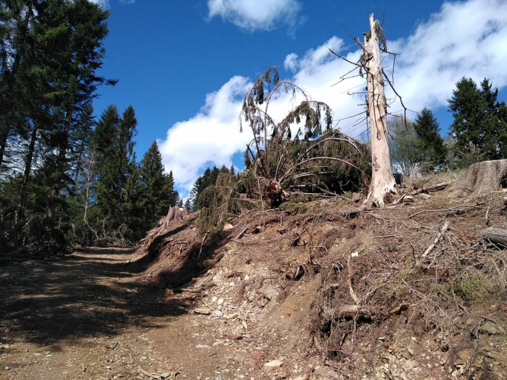 STRADA TORCOLA: IL PARCO DELLE OROBIE “RIMODULA” LA SANZIONE AL COMUNE DI MOIO DE’ CALVI