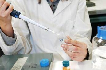 Scacco al segreto di immortalita del glioblastoma verso nuove cure Scacco al segreto di immortalita del glioblastoma verso nuove cure