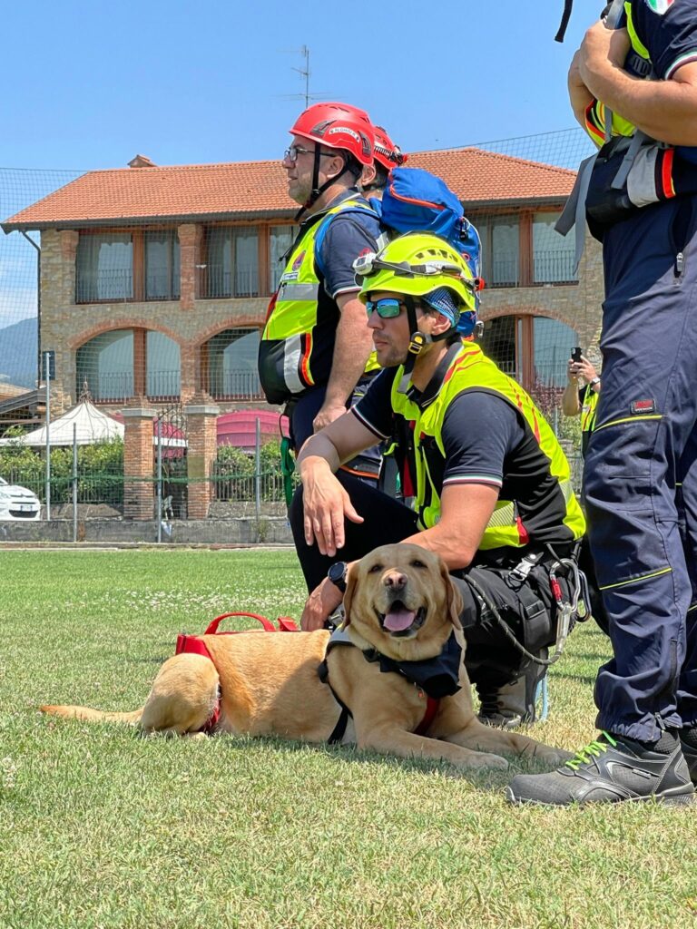 Esercitazione Nazionale delle Unità Cinofile: un test cruciale per la Protezione Civile Italiana