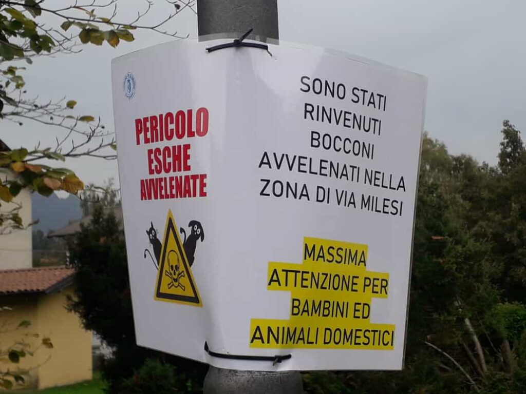 Bocconi avvelenati massima attenzione per animali e bambini