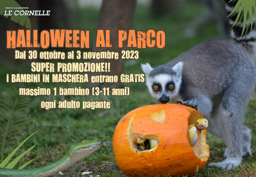 Festa di Halloween al Parco Le Cornelle: un'avventura spaventosa per tutti i piccoli visitatori