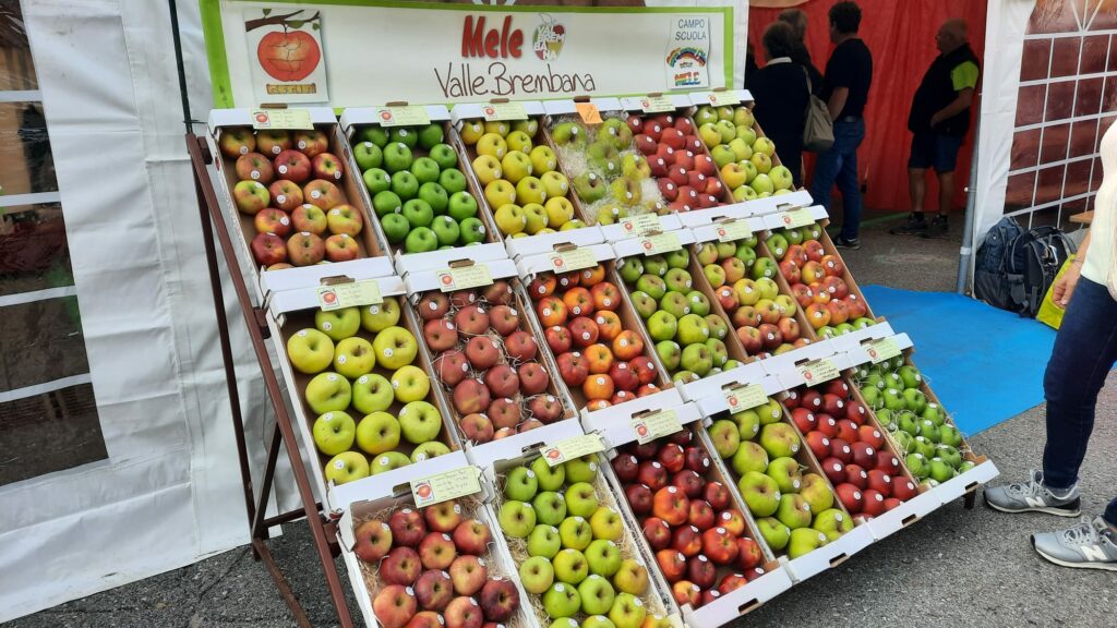 SAPORI E COLORI, FA IL PIENO A MOIO DE' CALVI LA FESTA DELLA MELA