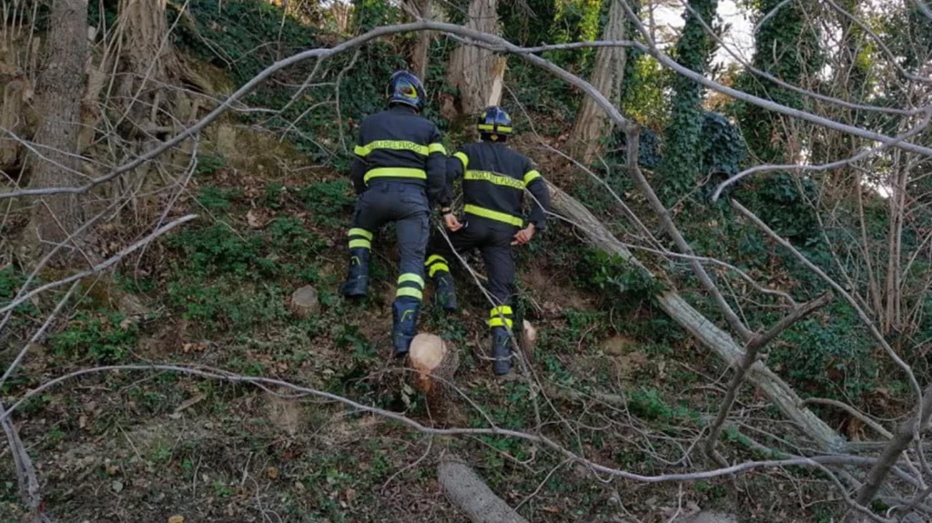 sessantenne taglia albero ma sbaglia la traiettoria ferito a una gamba