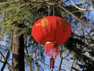Capodanno cinese, l’Anno del Drago si festeggia alla Malpensata