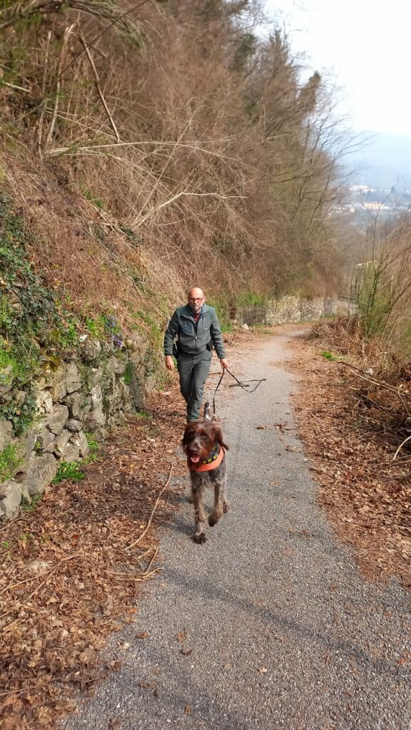 ULTIME ATTIVITÀ DI SOLE, IL CANE ANTIVELENO DELLA POLIZIA PROVINCIALE DI BRESCIA