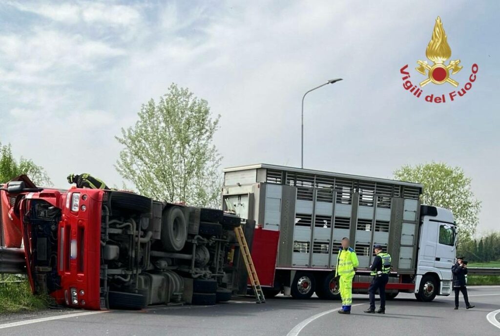 Tir trasportante animali si ribalta, traffico in tilt