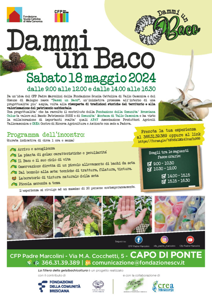 “Dammi un Baco”, una giornata dedicata alla conoscenza della filiera della gelsibachicoltura