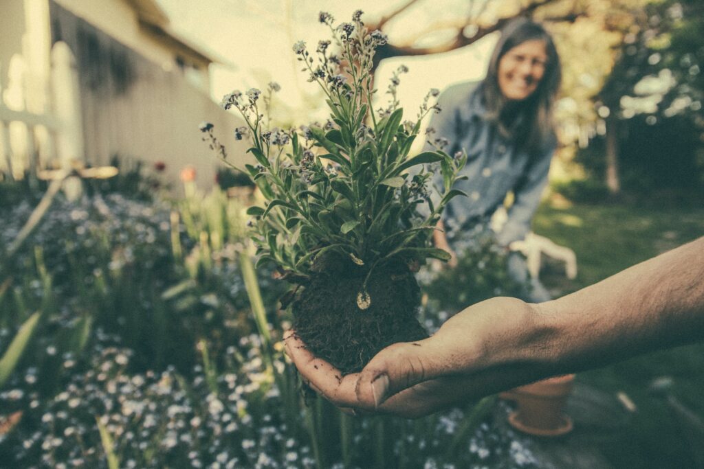 Donne e agricoltura