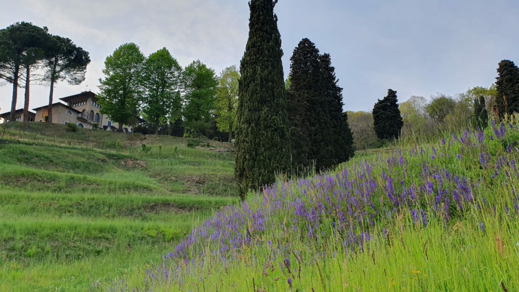 Fondazione CB foto 4