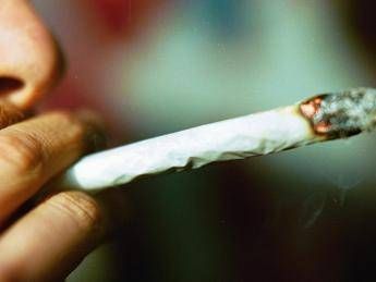 Cannabis potenza in aumento 5 cose da sapere su rischio psicosi Cannabis potenza in aumento 5 cose da sapere su rischio psicosi