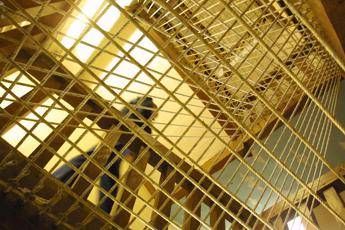 Allarme suicidi in carcere Forza Italia apre a riforme. Stop di Delmastro No a svuota carceri
