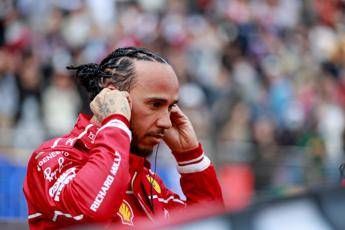 Hamilton e la marmotta investita Sono devastato io amo gli animali Hamilton e la marmotta investita Sono devastato io amo gli animali