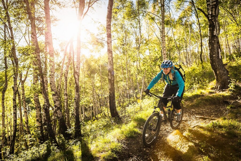 Mountain Bike Lago di Como Mountain Bike Lago di Como