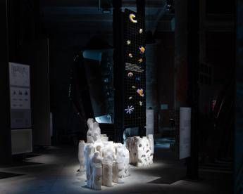 Alla Biennale Architettura Sea Oasis il mare diventa creativita Alla Biennale Architettura Sea Oasis il mare diventa creativita