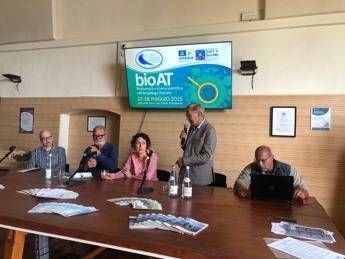 Animali Fondazione UNA Federparchi torna il Barbagianni a Pianosa Animali Fondazione UNA Federparchi torna il Barbagianni a Pianosa