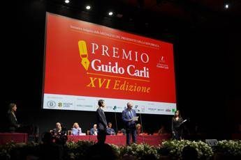 Arte imprenditoria e giornalismo a Roma i riconoscimenti del Premio Guido Carli 2025 Arte imprenditoria e giornalismo a Roma i riconoscimenti del Premio Guido Carli 2025