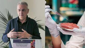 Domani e lHamburger Day meglio naturale o sintetico Risponde il medico nutrizionista Domani e lHamburger Day meglio naturale o sintetico Risponde il medico nutrizionista