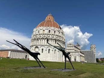 Due cavalli volanti atterrano in Piazza dei Miracoli Due cavalli volanti atterrano in Piazza dei Miracoli