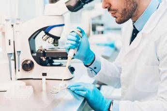 Eurispes Salgono italiani a favore della fecondazione eterologa quasi 60