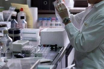 Farmaci Associazione ictus Soddisfatti per ok Aifa a rimborsabilita tenecteplase Farmaci Associazione ictus Soddisfatti per ok Aifa a rimborsabilita tenecteplase