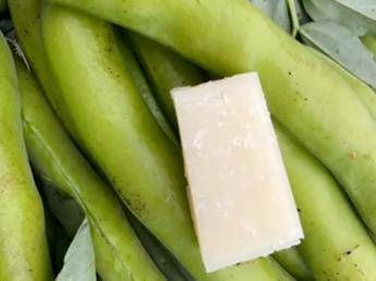 Favismo per 400mila italiani rischi anche da farmaci e infezioni Favismo per 400mila italiani rischi anche da farmaci e infezioni