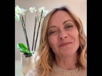 Festa della mamma il messaggio di Meloni Essere madre sfida piu straordinaria Festa della mamma il messaggio di Meloni Essere madre sfida piu straordinaria