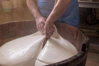 Festival dellEconomia di Trento mozzarella bufala campana Dop in cattedra tra talk e laboratori con Trentingrana Festival dellEconomia di Trento mozzarella bufala campana Dop in cattedra tra talk e laboratori con Trentingrana