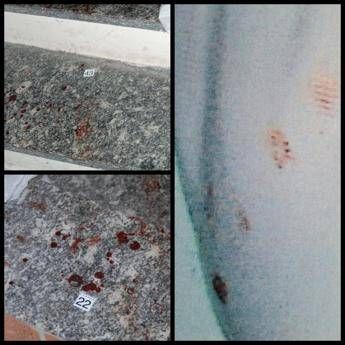 Garlasco la dinamica dellomicidio di Chiara Poggi Assassino non scende le scale e ha le mani insanguinate Garlasco la dinamica dellomicidio di Chiara Poggi Assassino non scende le scale e ha le mani insanguinate
