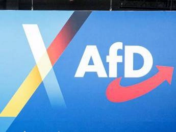 Germania intelligence Afd partito estremista di destra Germania intelligence Afd partito estremista di destra